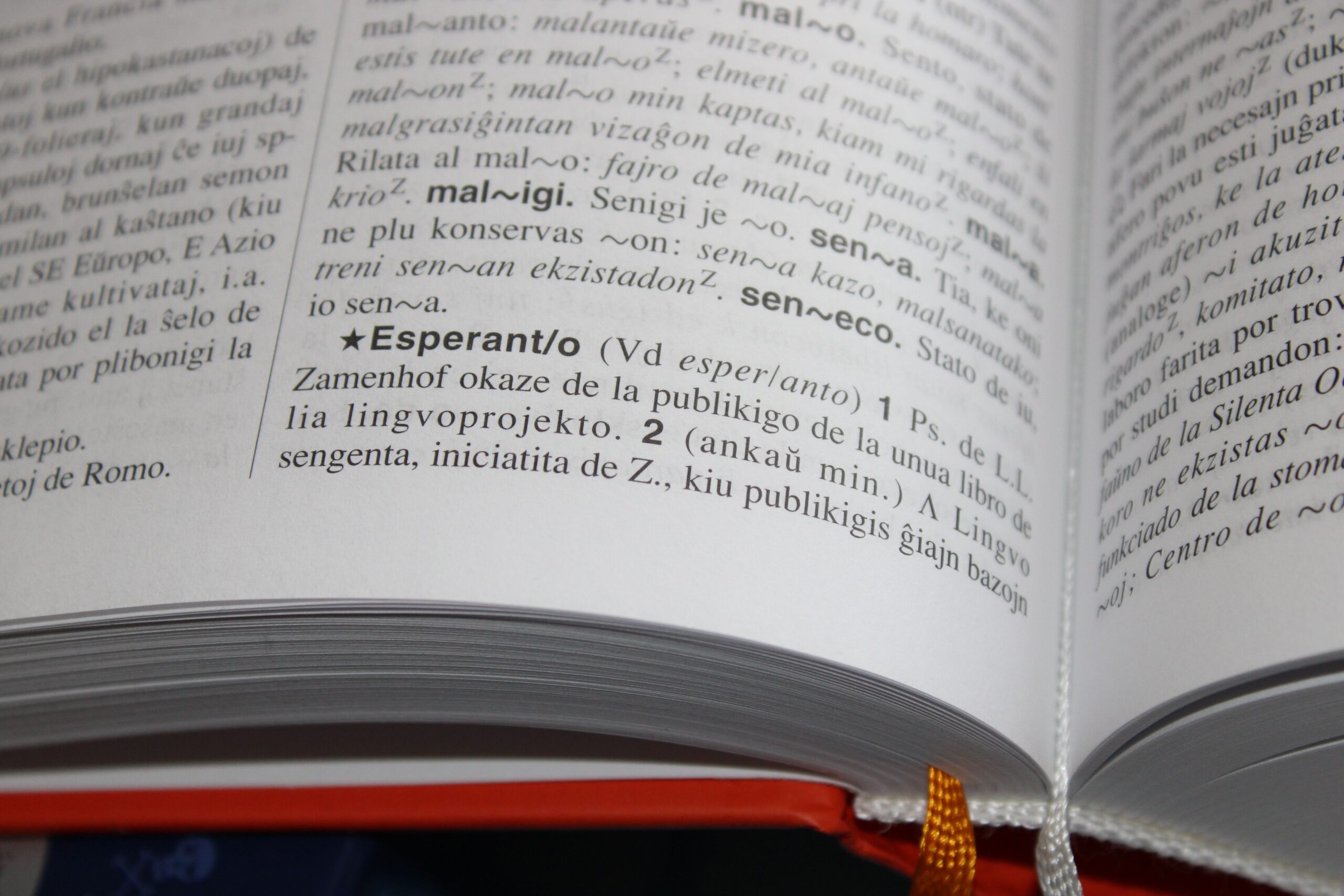 Le bilinguisme protège-t-il le cerveau du vieillissement ?