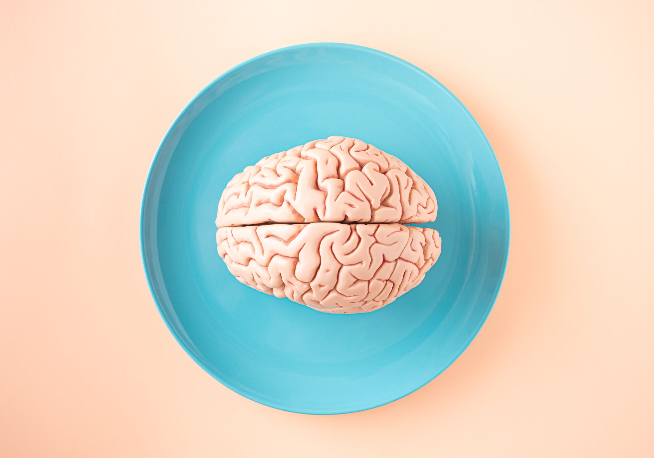 Le cerveau reptilien : le mythe des « trois cerveaux »