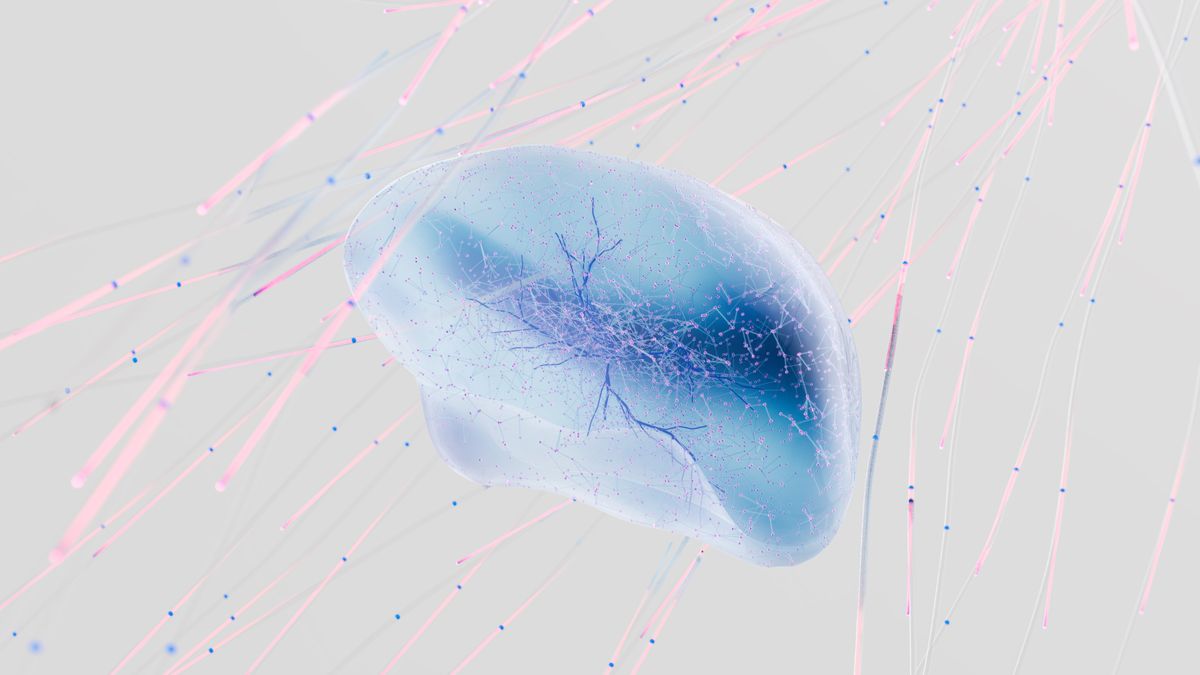 La neurogenèse adulte : peut-on fabriquer de nouveaux neurones ?